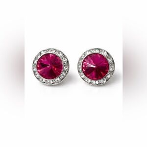 The Painted Butterfly Fuchsia Crystal Halo Stud Earrings/Silver Tone Rhinestone🩶
